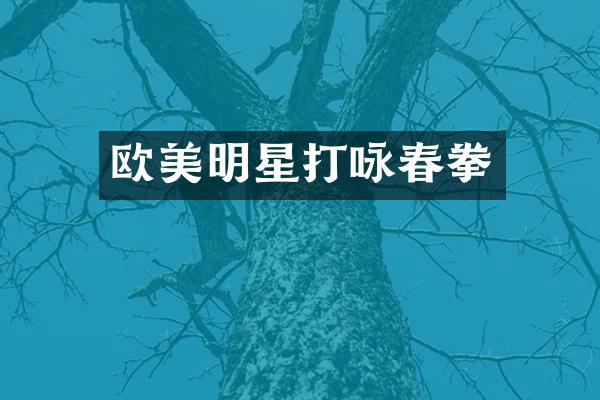 欧美明星打咏春拳