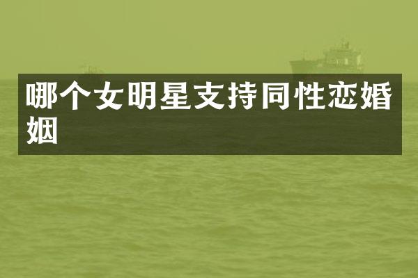 哪个女明星支持婚姻