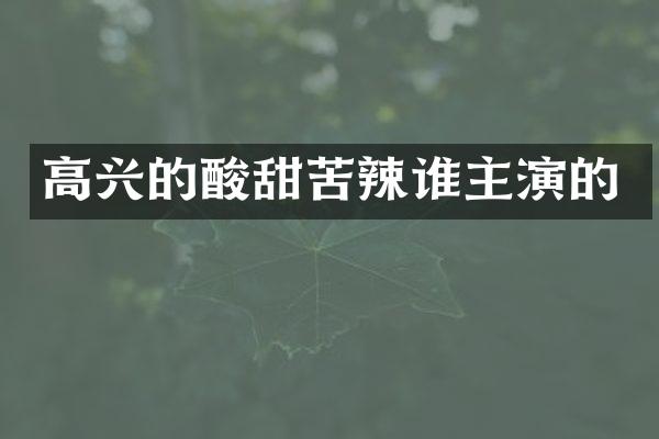 高兴的酸甜苦辣谁主演的