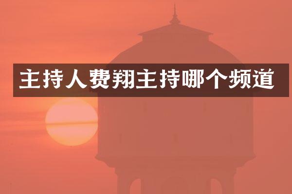 主持人费翔主持哪个频道