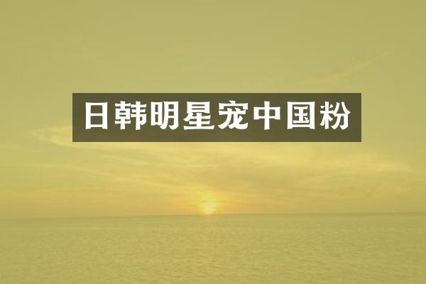 日韩明星宠中国粉