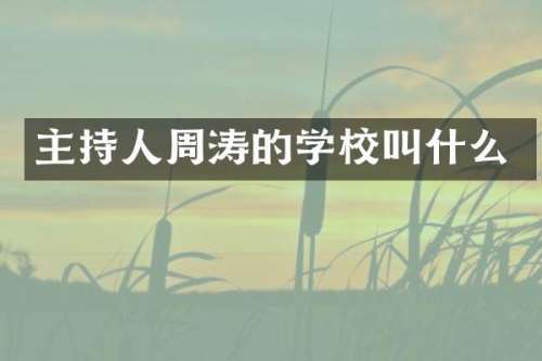 主持人周涛的学校叫什么