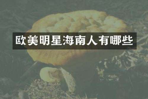 欧美明星海南人有哪些