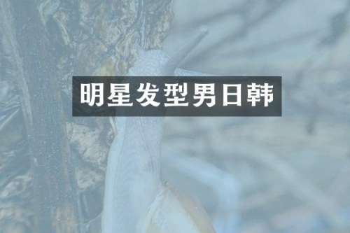 明星发型男日韩