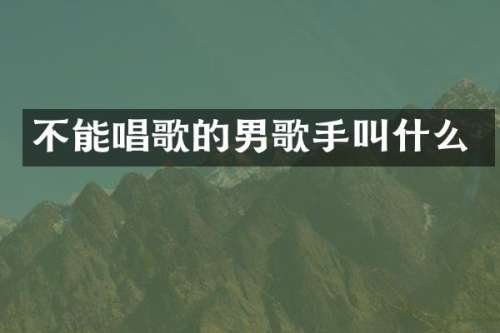 不能唱歌的男歌手叫什么