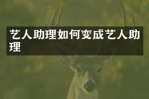 艺人助理如何变成艺人助理