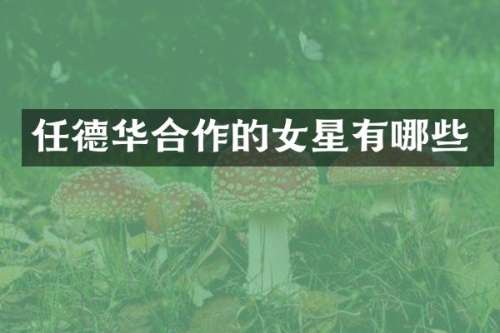 任德华合作的女星有哪些