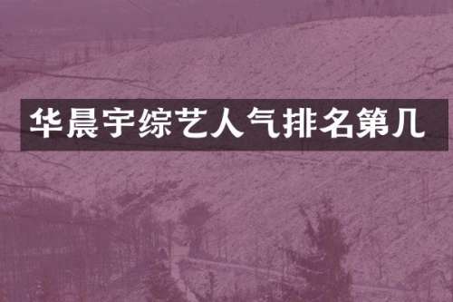 华晨宇综艺人气排名第几