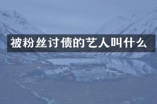 被粉丝的艺人叫什么