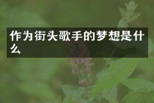 作为街头歌手的梦想是什么