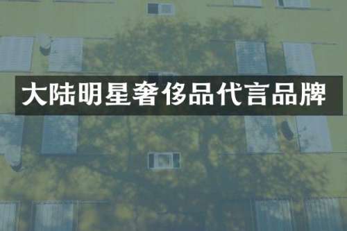大陆明星奢侈品代言品牌