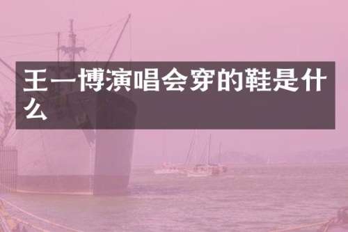 王一博演唱会穿的鞋是什么