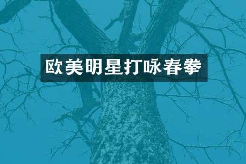 欧美明星打咏春拳