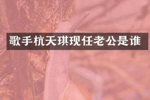 歌手杭天琪现任老公是谁