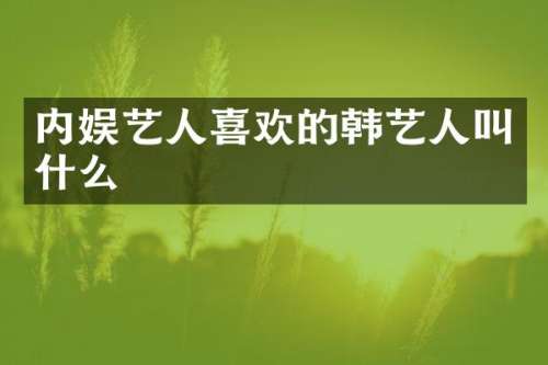 内娱艺人喜欢的韩艺人叫什么