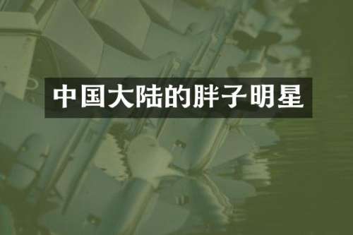 中国大陆的胖子明星