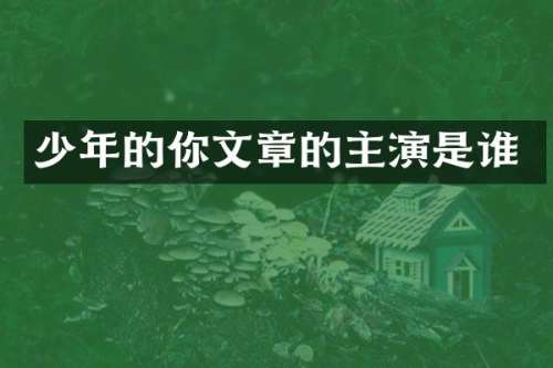 少年的你文章的主演是谁