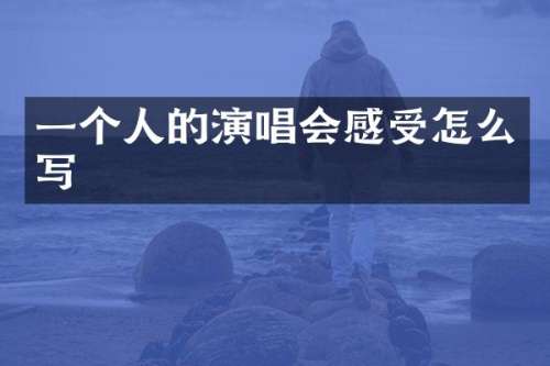 一个人的演唱会感受怎么写