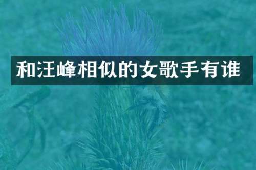 和汪峰相似的女歌手有谁