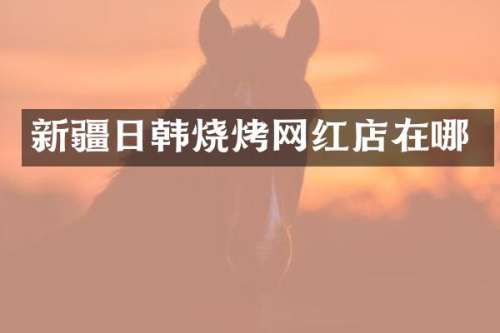 新疆日韩烧烤网红店在哪