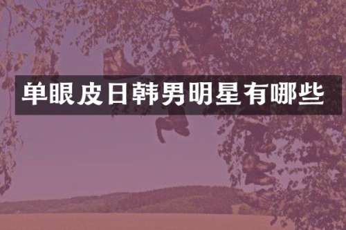 单眼皮日韩男明星有哪些