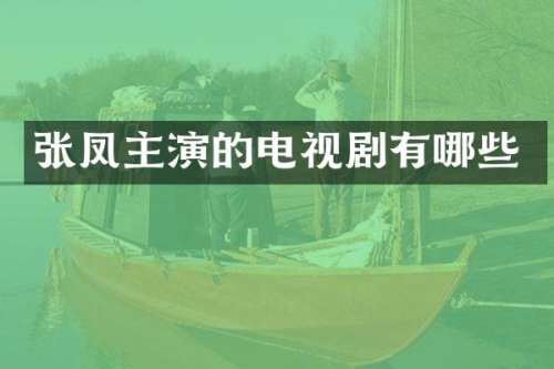 张凤主演的电视剧有哪些
