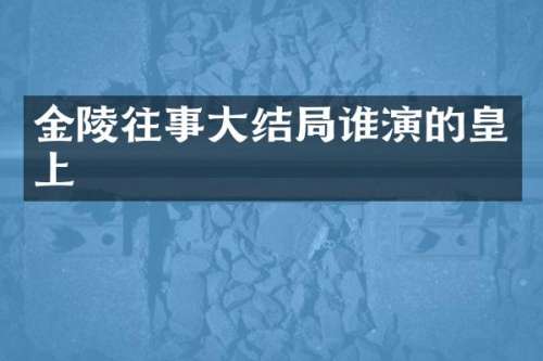 金陵往事大结局谁演的皇上