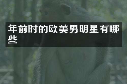 年前时的欧美男明星有哪些