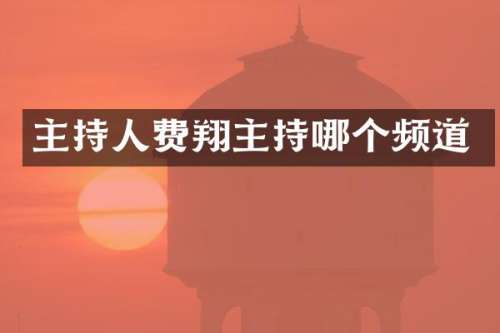 主持人费翔主持哪个频道