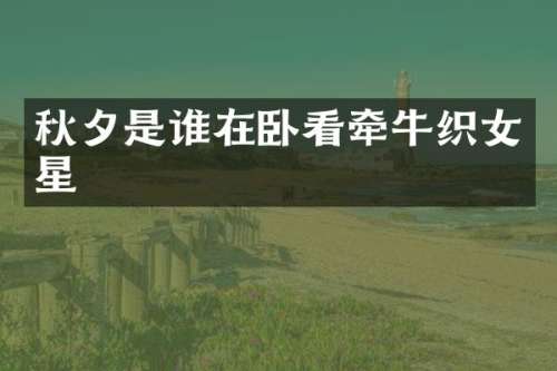 秋夕是谁在卧看牵牛织女星
