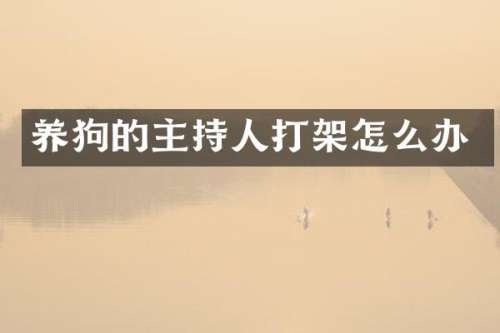 的主持人打架怎么办