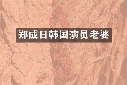 郑成日韩国演员老婆