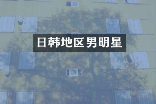 日韩地区男明星
