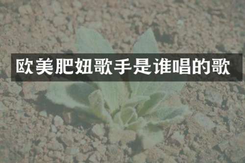 欧美肥妞歌手是谁唱的歌