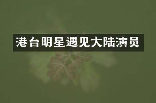 港台明星遇见大陆演员