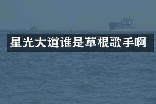 星光大道谁是草根歌手啊