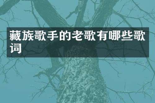 藏族歌手的老歌有哪些歌词