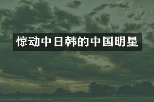 惊动中日韩的中国明星