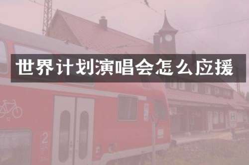 世界计划演唱会怎么应援