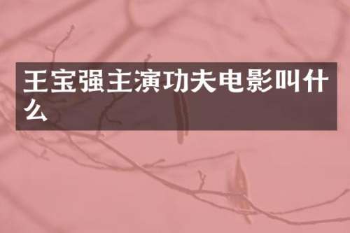 王宝强主演功夫电影叫什么