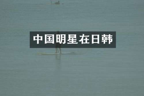 中国明星在日韩