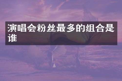 演唱会粉丝最多的组合是谁
