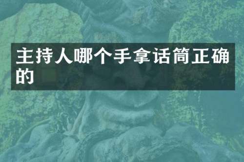 主持人哪个手拿话筒正确的