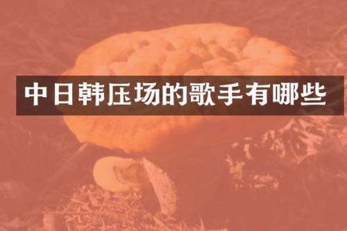 中日韩压场的歌手有哪些