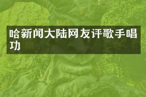哈新闻大陆网友评歌手唱功