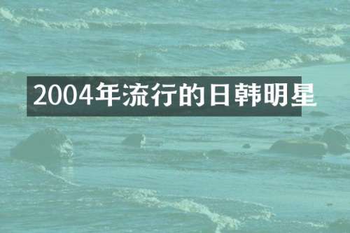 2004年流行的日韩明星