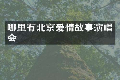 哪里有北京爱情故事演唱会