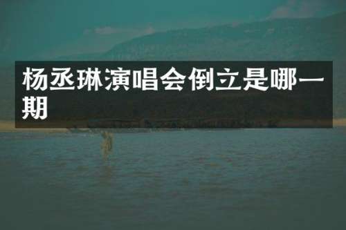 杨丞琳演唱会倒立是哪一期
