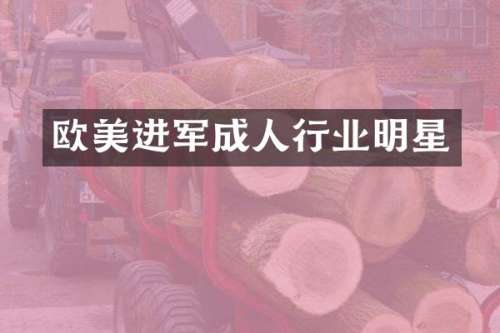 欧美进军成人行业明星