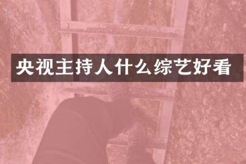央视主持人什么综艺好看